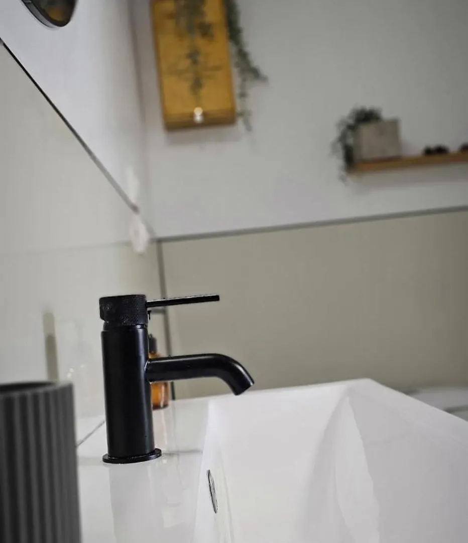 Le Petit Erable Apartment Blavozy 0*,
